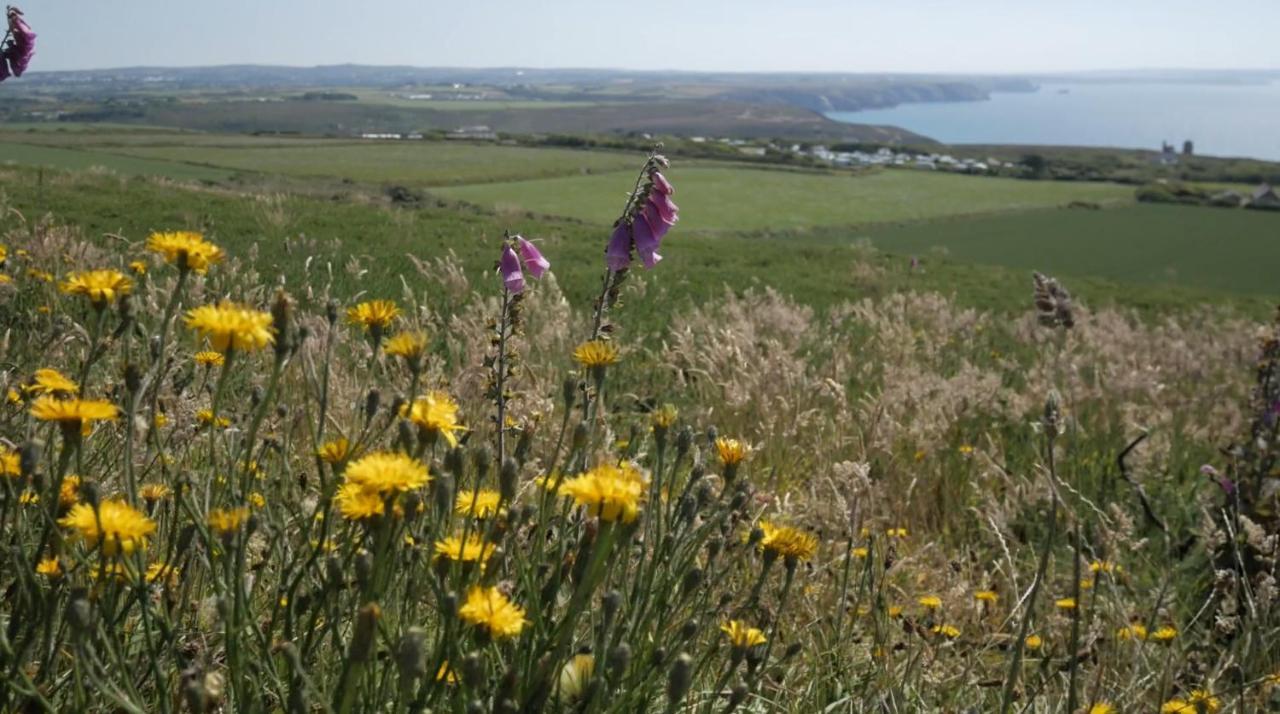 Beacon Country House Hotel & Luxury Shepherd Huts St Agnes  Bagian luar foto